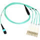 Axiom Fiber Optic Network Cable - 65.62 ft Fiber Optic Network Cable for Network Device - First End: 1 x MTP/MPO Female Network - Second End: 8 x LC Male Network - 50/125 &micro;m - Aqua MP8LCOM4R20M-AX