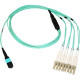 Axiom MPO Female To 4 LC Multimode OM4 50/125 Fiber Optic Breakout Cable - 40m - 131.23 ft Fiber Optic Network Cable for Network Device - First End: 1 x MTP/MPO Female Network - Second End: 4 x LC Male Network - Plenum, OFNP - 50/125 &micro;m - Aqua M