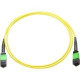 Axiom MPO Male to MPO Male Singlemode 9/125 Fiber Optic Cable - 3m - Fiber Optic for Network Device - 9.84 ft - 2 x MPO Male Network - 2 x MPO Male Network - 9/125 &micro;m - Yellow - RoHS Compliance MPOMMSM3M-AX