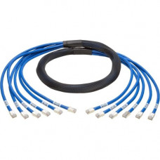 Tripp Lite 6ft Augmented Cat6 Cat6a Pre-Terminated Copper trunk Bundle 6xRJ45 M/M 6&#39;&#39; - 6 ft Category 6a Network Cable for Network Device, Switch, Patch Panel - First End: 6 x RJ-45 Male Network - Second End: 6 x RJ-45 Male Network - 1.25 