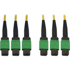 Tripp Lite N392B-10M-3X8AP Fiber Optic Trunk Network Cable - 32.81 ft Fiber Optic Network Cable for Switch, Patch Panel, Network Device - First End: 3 x MTP/MPO Female Network - Second End: 3 x MTP/MPO Female Network - 400 Gbit/s - Trunk Cable - LSZH - 9/