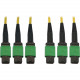 Tripp Lite N392B-10M-3X8AP Fiber Optic Trunk Network Cable - 32.81 ft Fiber Optic Network Cable for Switch, Patch Panel, Network Device - First End: 3 x MTP/MPO Female Network - Second End: 3 x MTP/MPO Female Network - 400 Gbit/s - Trunk Cable - LSZH - 9/