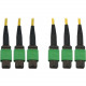 Tripp Lite N392B-45M-3X8AP Fiber Optic Trunk Network Cable - 147.64 ft Fiber Optic Network Cable for Switch, Patch Panel, Network Device - First End: 3 x MTP/MPO Female Network - Second End: 3 x MTP/MPO Female Network - 400 Gbit/s - Trunk Cable - LSZH - 9