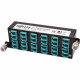 Tripp Lite 10GbE High Density Pass-Through Cassette 12 LC Duplex Connection - 12 LC Duplex Connection N484-12LC