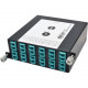 Tripp Lite 100Gb/120Gb to10Gb Breakout Cassette 24-Fiber MTP/MPO 12 LC - 12 x LC Duplex, 24 x MTP/MPO - 36 Port(s) - 36 x RJ-11 - 12 x Duplex" N484-1M24-LC12