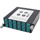 Tripp Lite 40G to 10G Breakout Cassette 2 12-Fiber MTP/MPO to 12 LC Duplex - 12 x LC Duplex, 2 x MTP - 14 Port(s) - 14 x RJ-11 - 12 x Duplex - 2 x MT Port(s)" N484-2M12-LC12
