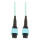 Tripp Lite 1M MTP / MPO Fiber Optic Patch Cable w/ Push Pull Tabs 12 Fiber 40Gbe OM3 Plenum Aqua 3&#39;&#39; 3ft 1 Meter - 12 Fiber,40GbE, 40GBASE-SR4,OM3 Plenum-rated - Aqua, 1M (3-ft.)" - RoHS, TAA Compliance N844-01M-12-P