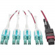 Tripp Lite 1M MTP MPO 8xLC 50/125 OM4 Fanout Patch Cable 12 Fiber 40GB CMP - Fiber Optic for Network Device, Switch - 5 GB/s - Fan-out Cable - 3.28 ft - 1 x MTP/MPO Female Network - 8 x LC Male Network - Magenta N845-01M-8L-MG