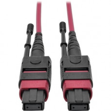 Tripp Lite 5M MTP MPO Multimode Patch Cable 12 Fiber 40/100Gb OM4 50/ 125 CMP - Fiber Optic for Network Device - 5 GB/s - Patch Cable - 16.40 ft - 1 x MTP/MPO Female Network - 1 x MTP/MPO Female Network - 50/125 &micro;m - Magenta N845-05M-12-MG