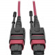 Tripp Lite 10M MTP MPO Multimode Patch Cable 12 Fiber 40/100Gb OM4 50/ 125 CMP - MMF 40/100gb N845-10M-12-MG