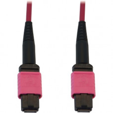 Tripp Lite N845B-01M-12-MG Fiber Optic Network Cable - 3.28 ft Fiber Optic Network Cable for Network Device, Patch Panel, Switch - First End: 1 x MTP/MPO Female Network - Second End: 1 x MTP/MPO Female Network - 400 Gbit/s - LSZH, OFNR - 50/125 &micro