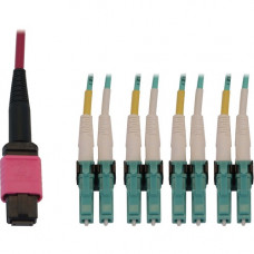 Tripp Lite N845X-01M-8L-MG Fiber Optic Duplex Trunk Network Cable - 3.28 ft Fiber Optic Network Cable for Network Device, Patch Panel, Switch - First End: 1 x MTP/MPO Female Network - Second End: 8 x LC Male Network - 100 Gbit/s - Trunk Cable - LSZH, OFNR