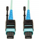 Tripp Lite 10M MTP / MPO Patch Cable 24 Fiber 100GbE Aqua OM3 Plenum 33ft 33&#39;&#39; 10 Meter - 100GBASE-SR10, CXP, 24 Fiber, 100GbE OM3 Plenum-rated - Aqua, 10M (33-ft.)" - RoHS Compliance N846-10M-24-P