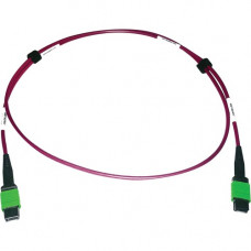 Tripp Lite N846D-01M-16AMG 400G Multimode 50/125 OM4 Fiber Optic Cable, Magenta, 1 m - 3.28 ft Fiber Optic Network Cable for Network Device, Transceiver, Network Switch, Patch Panel - First End: 1 x MTP/MPO Female Network - Second End: 1 x MTP/MPO Female 