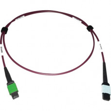 Tripp Lite N846D-01M-16CMG 400G Multimode 50/125 OM4 Fiber Optic Cable, Magenta, 1 m - 3.28 ft Fiber Optic Network Cable for Network Device, Transceiver, Network Switch, Patch Panel - First End: 1 x MTP/MPO Female Network - Second End: 1 x MTP/MPO Female 