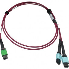 Tripp Lite N846D-03M-16DMG 400G Multimode 50/125 OM4 Fiber Optic Cable, Magenta, 3 m - 9.84 ft Fiber Optic Network Cable for Network Device, Transceiver, Network Switch, Patch Panel - First End: 1 x MTP/MPO Female Network - Second End: 2 x MTP/MPO Female 