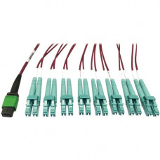Tripp Lite N846D-01M-16EMG 400G Multimode 50/125 OM4 Fiber Optic Cable, Magenta, 1 m - 3.28 ft Fiber Optic Network Cable for Network Device, Transceiver, Network Switch, Patch Panel - First End: 1 x MTP/MPO Female Network - Second End: 8 x LC Male Network