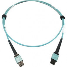 Tripp Lite N846D-01M-24AAQ 400G Multimode 50/125 OM4 Fiber Optic Cable, Aqua, 1 m - 3.28 ft Fiber Optic Network Cable for Network Device, Transceiver, Network Switch, Patch Panel - First End: 1 x MTP/MPO Female Network - Second End: 1 x MTP/MPO Female Net