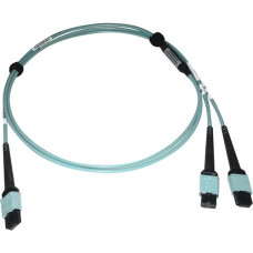 Tripp Lite N846D-01M-24BAQ 400G Multimode 50/125 OM4 Fiber Optic Cable, Aqua, 1 m - 3.28 ft Fiber Optic Network Cable for Network Device, Transceiver, Network Switch, Patch Panel - First End: 1 x MTP/MPO Female Network - Second End: 2 x MTP/MPO Female Net