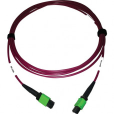 Tripp Lite N846D-03M-16AMG 400G Multimode 50/125 OM4 Fiber Optic Cable, Magenta, 3 m - 9.84 ft Fiber Optic Network Cable for Network Device, Transceiver, Network Switch, Patch Panel - First End: 1 x MTP/MPO Female Network - Second End: 1 x MTP/MPO Female 