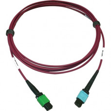 Tripp Lite N846D-03M-16CMG 400G Multimode 50/125 OM4 Fiber Optic Cable, Magenta, 3 m - 9.84 ft Fiber Optic Network Cable for Network Device, Transceiver, Network Switch, Patch Panel - First End: 1 x MTP/MPO Female Network - Second End: 1 x MTP/MPO Female 