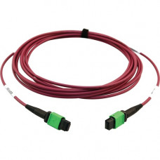 Tripp Lite N846D-05M-16AMG 400G Multimode 50/125 OM4 Fiber Optic Cable, Magenta, 5 m - 16.40 ft Fiber Optic Network Cable for Network Device, Transceiver, Network Switch, Patch Panel - First End: 1 x MTP/MPO Female Network - Second End: 1 x MTP/MPO Female