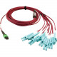 Tripp Lite N846D-05M-16EMG 400G Multimode 50/125 OM4 Fiber Optic Cable, Magenta, 5 m - 16.40 ft Fiber Optic Network Cable for Network Device, Transceiver, Network Switch, Patch Panel - First End: 1 x MTP/MPO Female Network - Second End: 8 x LC Male Networ