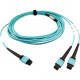 Tripp Lite N846D-05M-24BAQ 400G Multimode 50/125 OM4 Fiber Optic Cable, Aqua, 5 m - 16.40 ft Fiber Optic Network Cable for Network Device, Transceiver, Network Switch, Patch Panel - First End: 1 x MTP/MPO Female Network - Second End: 2 x MTP/MPO Female Ne