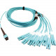 Tripp Lite N846D-05M-24CAQ 400G Multimode 50/125 OM4 Fiber Optic Cable, Aqua, 5 m - 16.40 ft Fiber Optic Network Cable for Network Device, Transceiver, Network Switch, Patch Panel - First End: 1 x MTP/MPO Female Network - Second End: 8 x LC Male Network -