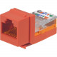 PANDUIT NetKey Cat.5e UTP Modular Jack - RJ-45 NK5E88MRDY