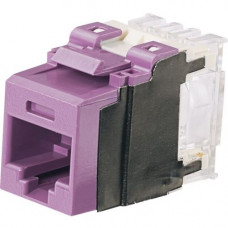 Panduit NetKey UTP Network Connector - 1 Pack - 1 x RJ-45 Female - Violet - TAA Compliance NK6X88MVL