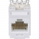 Panduit Network Connector - 1 Pack - 1 x RJ-45 Male - White - TAA Compliance NKP5E88MWH