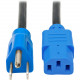 Tripp Lite Standard Computer Power Cord - 10A,18AWG (NEMA 5-15P to IEC-320-C13 with Blue Plugs) 4-ft. - RoHS, TAA Compliance P006-004-BL