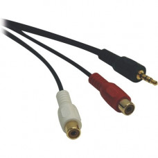 Tripp Lite 6in Mini Stereo to 2RCA Audio Y Splitter Adapter Cable 3.5mm 2xF/M 6" - 6" Mini-phone/RCA Audio Cable for Chromebook, MP3 Player, CD Player, Radio, Speaker - First End: 1 x Mini-phone Male Stereo Audio - Second End: 2 x RCA Female Ste