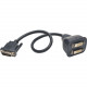 Tripp Lite 1ft DVI Y Splitter Video Monitor Cable DVI-D M/2xF 1&#39;&#39; - (DVI-D M to 2x F) 1-ft. - RoHS Compliance P564-001
