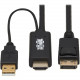 Tripp Lite P567-01M HDMI to DisplayPort 1.2 Active Adapter Cable, Black, 1 m (3.3 ft.) - 3.28 ft DisplayPort/HDMI/USB A/V Cable for Audio/Video Device, Digital Signage Player, Home Theater System, Monitor, Computer, Media Server, Blu-ray Player, Cable Box