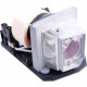 Datastor Projector Lamp - Projector Lamp PA-009179