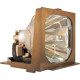 Datastor Projector Lamp - Projector Lamp PA-009902