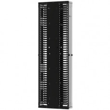 Panduit Dual Sided Manager - Black - 1 Pack - 45U Rack Height - Steel, Acrylonitrile Butadiene Styrene (ABS), Metal - TAA Compliance PE2VD12