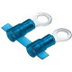 Panduit Terminal Connector - 3000 Pack - 1 x Ring Terminal - Tin - Blue - TAA Compliance PMNF2-3R-3K