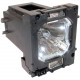 eReplacements Compatible projector lamp for Sanyo PLC-XP200 - Projector Lamp - 2000 Hour - TAA Compliance POA-LMP124-ER