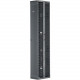 Panduit PR2VD10 Dual Sided Manager - Black - 1 Pack - 45U Rack Height - Acrylonitrile Butadiene Styrene (ABS), Steel - TAA Compliance PR2VD10