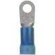 Panduit Terminal Connector - 10 Pack - Blue - TAA Compliance PV6-10R-X
