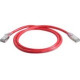 Legrand Group Quiktron Cat.6a Network Cable - 3 ft Category 6a Network Cable for Network Device - First End: 1 x RJ-45 Male Network - Second End: 1 x RJ-45 Male Network - 1.25 GB/s - Red QCC-A454-0267003