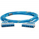 Panduit QuickNet&trade; - 10 ft Category 6 Network Cable for Network Device - First End: 1 x RJ-45 Cassette - Second End: 1 x RJ-45 Cassette - 10 Gbit/s - Trunk Cable - Riser - Blue - 1 - TAA Compliance QCRBCCB0001F010