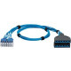Panduit QuickNet Cat.6 U/UTP Network Cable - 7 ft Category 6 Network Cable for Network Device - First End: 1 x RJ-45 Male Network - Second End: 2 x Cassette - Blue - 1 Pack - TAA Compliance QPCSDBBBB07