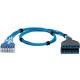 Panduit QuickNet Cat.6 U/UTP Network Cable - 5 ft Category 6 Network Cable for Network Device - First End: 1 x RJ-45 Male Network - Second End: 2 x Cassette - Blue - 1 Pack - TAA Compliance QPCSDBBBB05