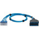 Panduit QuickNet Switch Port Harness - 10 ft RJ-45/Pre-Terminated Cassette Network Cable for Network Device, Switch, Patch Panel - First End: 12 x RJ-45 Male Network - Second End: 2 x Female Cassette - Patch Cable - Blue - 1 Pack - TAA Compliance QPCSDBBB
