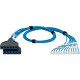 Panduit QuickNet Cat.6 U/UTP Network Cable - 14 ft Category 6 Network Cable for Network Device - First End: 1 x RJ-45 Male Network - Second End: 1 x Cassette - Blue, Clear - 1 Pack - TAA Compliance QPCSDB6XB14