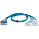 Panduit QuickNet Cat.6 U/UTP Network Cable - 14 ft Category 6 Network Cable for Network Device - First End: 1 x RJ-45 Male Network - Second End: 1 x RJ-45 Male Network - Blue, Clear - 1 Pack - TAA Compliance QPPSDBBB14